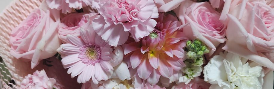 悠 莱 Cover Image