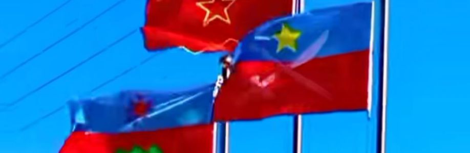 赵 哎强 Cover Image